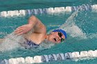 Swimming vs Babson  Wheaton College Swimming vs Babson College. - Photo By: KEITH NORDSTROM : Wheaton, Swimming, Babson